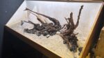 Hardscape - Vorschlag D - 120P – Bild 3