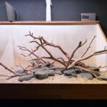 Hardscape - Vorschlag E - 100P