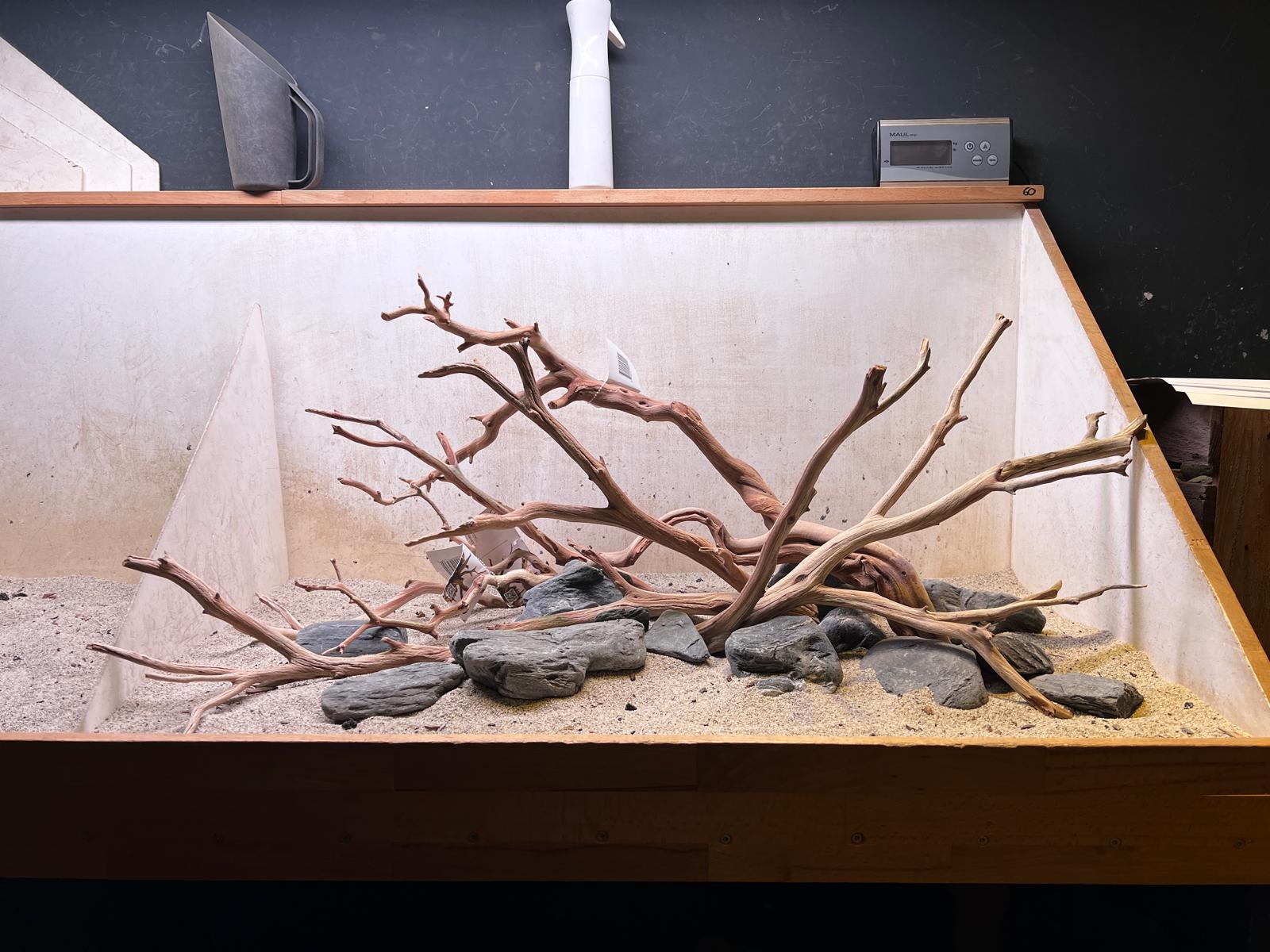 WhatsApp Image 2026-05-12 at 15.34.04 (2) Hardscape - Vorschlag E - 100P – Bild 1