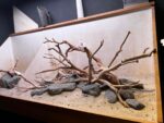 Hardscape - Vorschlag E - 100P – Bild 2