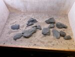 Hardscape - Vorschlag E - 100P – Bild 4