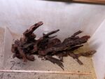 Hardscape - Vorschlag H - 90P – Bild 4