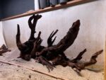 Hardscape - Vorschlag H - 90P – Bild 3