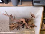 Hardscape - Vorschlag E - 60P (mit herausragenden Elementen) – Bild 4