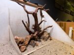 Hardscape - Vorschlag E - 60P (mit herausragenden Elementen) – Bild 3