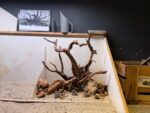 Hardscape - Vorschlag E - 60P (mit herausragenden Elementen) – Bild 2