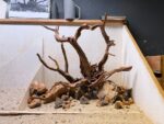 Hardscape - Vorschlag E - 60P (mit herausragenden Elementen)