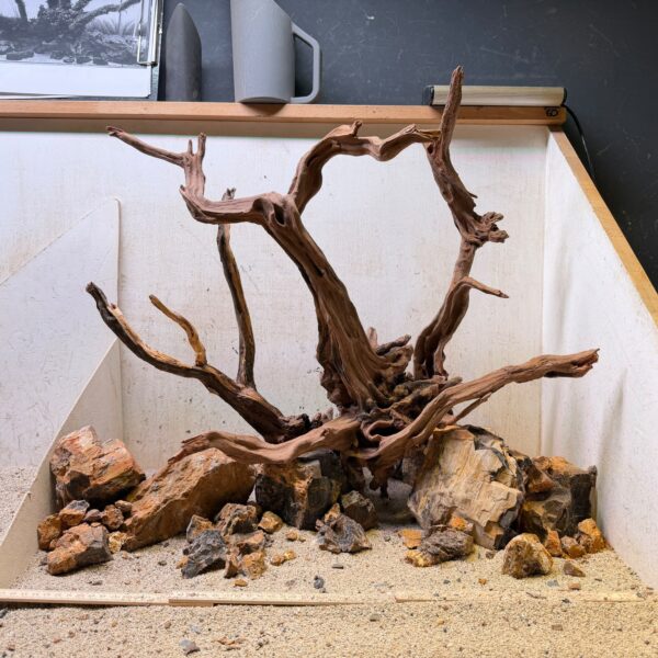 Hardscape - Vorschlag E - 60P (mit herausragenden Elementen)