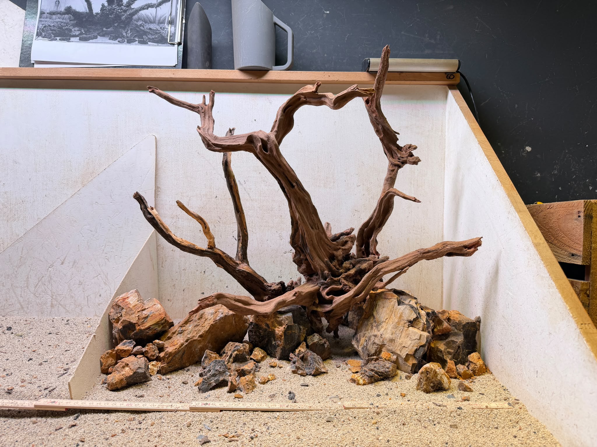 WhatsApp Image 2026-09-26 at 10.59.32 (4) Hardscape - Vorschlag E - 60P (mit herausragenden Elementen) – Bild 1