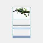 DOOA Glas Paluda 600 inkl. Paluda Light II