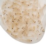 Frostfutter – Bild 2
